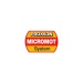 Torque wrench MicroClick MC30 1/4