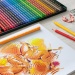Polychromos artist's color pencil - 36 metal case