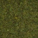 Gritting grass 2.5 mm meadow 100g